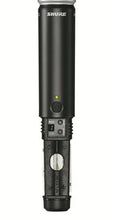 Load image into Gallery viewer, Shure BLX 24SM58 Handheld Wireless Microphone System with SM58 Band H10