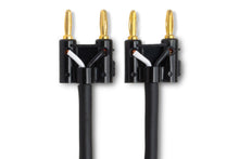 Load image into Gallery viewer, Hosa SKJ-6100BB Speaker Cable Hosa Dual Banana to Same 100 foot