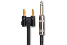 Load image into Gallery viewer, Hosa SKJ-610BN Speaker Cable Hosa 1/4" TS to Dual Banana 10 foot