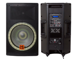 SYNERGY15 Bluetooth Speaker 2-Way 15