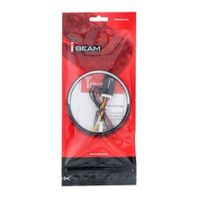 Load image into Gallery viewer, iBeam TE-VSF Video Signal Noise Filter