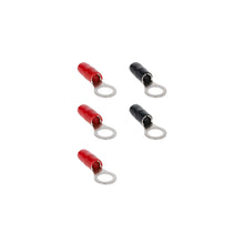 Load image into Gallery viewer, T-SPEC V8-RTN19 8 AWG 3/8IN Ring Terminal 5pk - v8 SERIES