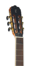 Load image into Gallery viewer, Tagima WS 12 EQ-NT Nylon String - Natural