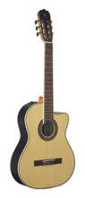 Load image into Gallery viewer, Tagima WS 12 EQ-NT Nylon String - Natural