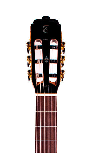 Tagima WS 12 EQ-DBS Nylon String - Drop Sunburst
