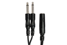 Load image into Gallery viewer, Hosa YPP-106 Y Cable - 1/4 inch TS Female to Dual 1/4 inch TS Male