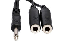 Load image into Gallery viewer, Hosa YPP-111 Y Cable - 1/4 inch TS Male to Dual 1/4 inch TS Female