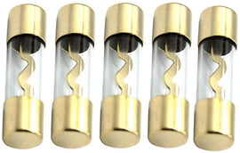 Absolute AGU100 5 Pack AGU Gold Standard Glass Fuses 100 Amp 12 Volts Car Stereo  Home Marine ATV