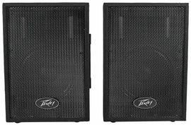 Peavey DJ 2-Way 100 Watt PA Speaker System with 10