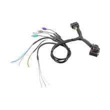 Load image into Gallery viewer, Cerwin Vega CTLINK 2014-2023 Harley Davidson® Radio T-Harness Kit (Standard Model)