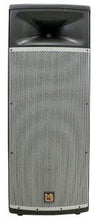 Load image into Gallery viewer, MR DJ USA PRO215S Dual Passive DJ/PA 3-Way Speaker 4000W