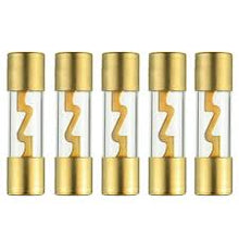 Load image into Gallery viewer, Absolute AGU40-5 40 Amp Gold-Plated AGU Glass Fuse (10 Pack)