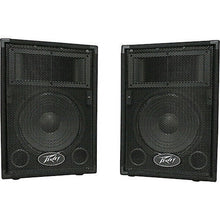 Load image into Gallery viewer, Peavey PVi10 Two 10" 100 Watt 2-Way Pro Audio Live Speaker Package