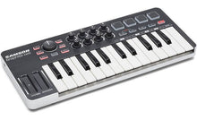 Charger l&#39;image dans la galerie, Samson SAKGRM25 Mini USB MIDI keyboard controller