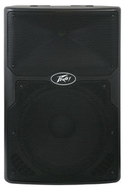 PEAVEY PVXp10 10