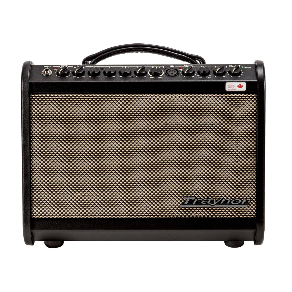 Traynor AMMINI 65 Watt Acoustic Amplifier