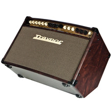Charger l'image dans la galerie, Traynor AMSTANDARD 150 Watt Stereo Acoustic Amplifier