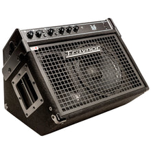 Load image into Gallery viewer, Traynor DW10 200 Watt Combo Drum Amplifier
