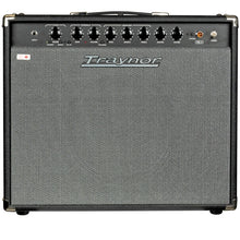 Charger l'image dans la galerie, Traynor YGL2 30-watt All-Tube Guitar Combo