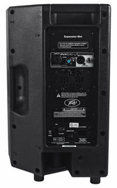 PEAVEY PVXp10 10