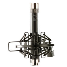 Charger l'image dans la galerie, Apex APEX485B Matched Pair Pencil Condenser Microphones