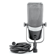 Load image into Gallery viewer, Apex APEX210B Large Element Ribbon Microphone