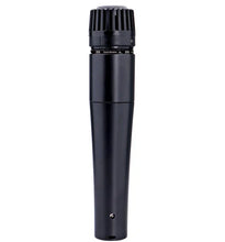 Load image into Gallery viewer, Apex APEX375 Dynamic Instrument / Vocal Microphone
