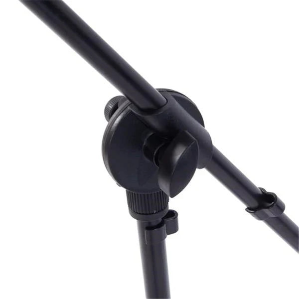 2 Microphone Stands Adjustable Boom Stage or Instrument with Mic Holder Clips & Carry Bag