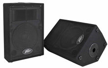 Charger l&#39;image dans la galerie, Peavey PVi 10 2-Way Speaker System