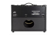 Load image into Gallery viewer, Peavey  VYPYR® X1 Guitar Modeling Amp+ Free Mr. Dj Isntrument Cable + Phone Holder